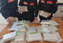 Donna trasporta 23 chili di cocaina purissima nel Nolano, accelera e si fa arrestare