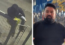 Ladro nella pescheria di Peppe Di Napoli