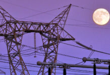 Terna assume diplomati e laureati